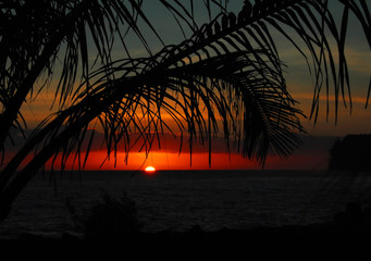 资产评估师（资产评估师含金量高吗）