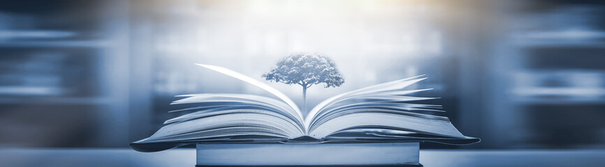 安徽往届高考成绩查询入口/如何查安徽历年高考位次