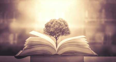 【广东财经职业学院是大专吗,广东财经职业技术学院怎么样】