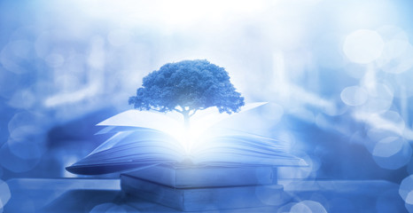 【四川工商学院学费,四川工商学院学费一年多少钱2025最新标准】