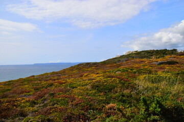 未来最吃香的十大行业/未来最吃香的十大行业是什么职业
