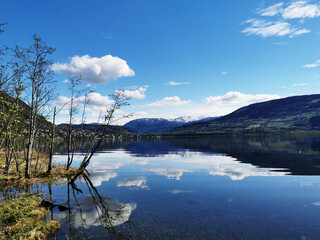 未来最吃香的十大行业/未来最吃香的十大行业是什么职业