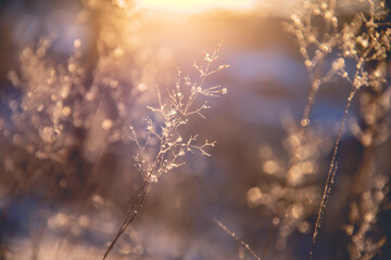 安徽往届高考成绩查询入口/如何查安徽历年高考位次