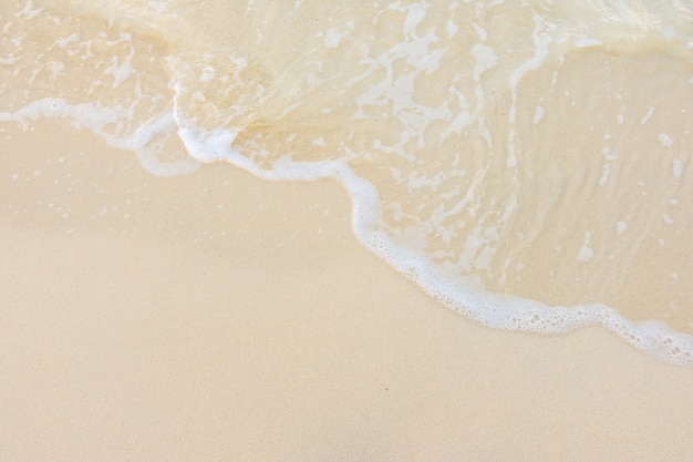 未来最吃香的十大行业/未来最吃香的十大行业是什么职业