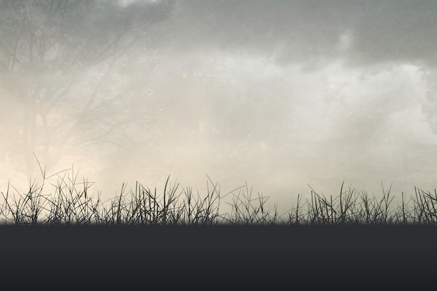 【香港的大学排名,香港的大学排名为什么那么高】