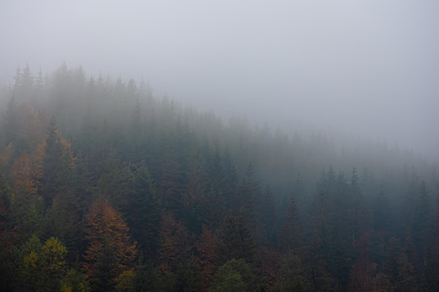 【广东财经职业学院是大专吗,广东财经职业技术学院怎么样】