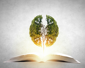 深信职业录取线2025/二职录取线