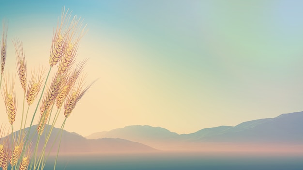 未来最吃香的十大行业/未来最吃香的十大行业是什么职业