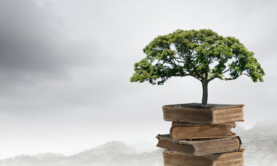 未来最吃香的十大行业/未来最吃香的十大行业是什么职业