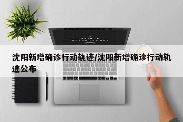 沈阳新增确诊行动轨迹/沈阳新增确诊行动轨迹公布